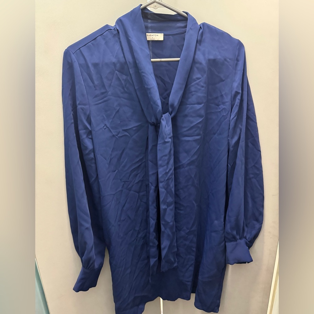 Babaton dress